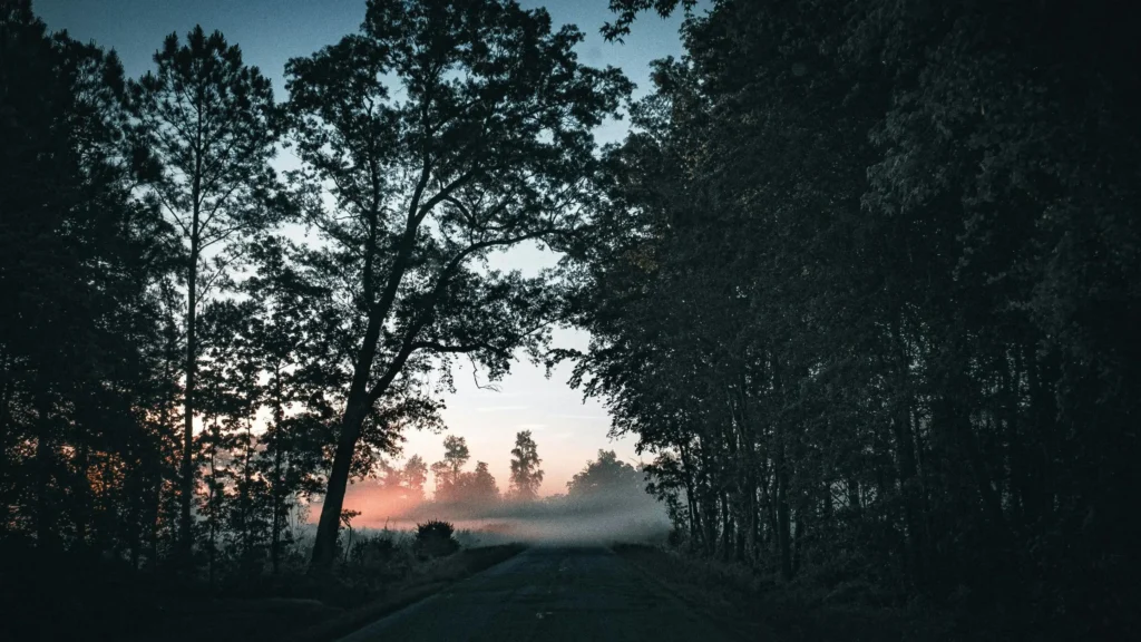 Sunset road through foggy trees, symbolizing dopamine brain fog.