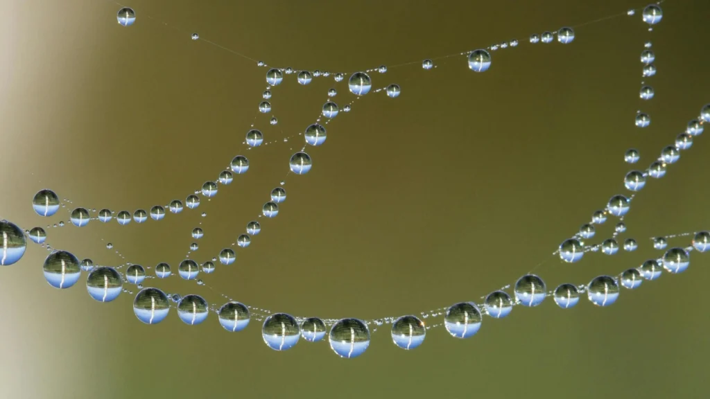 Water droplets showcasing clarity and concentration techniques on how to improve focus