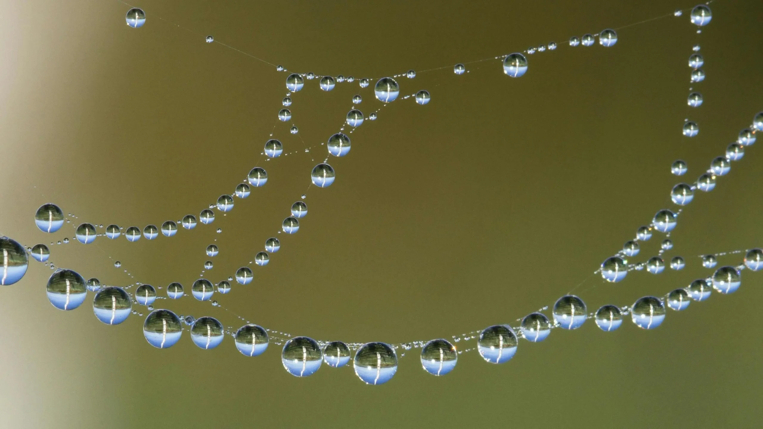 Water droplets showcasing clarity and concentration techniques on how to improve focus