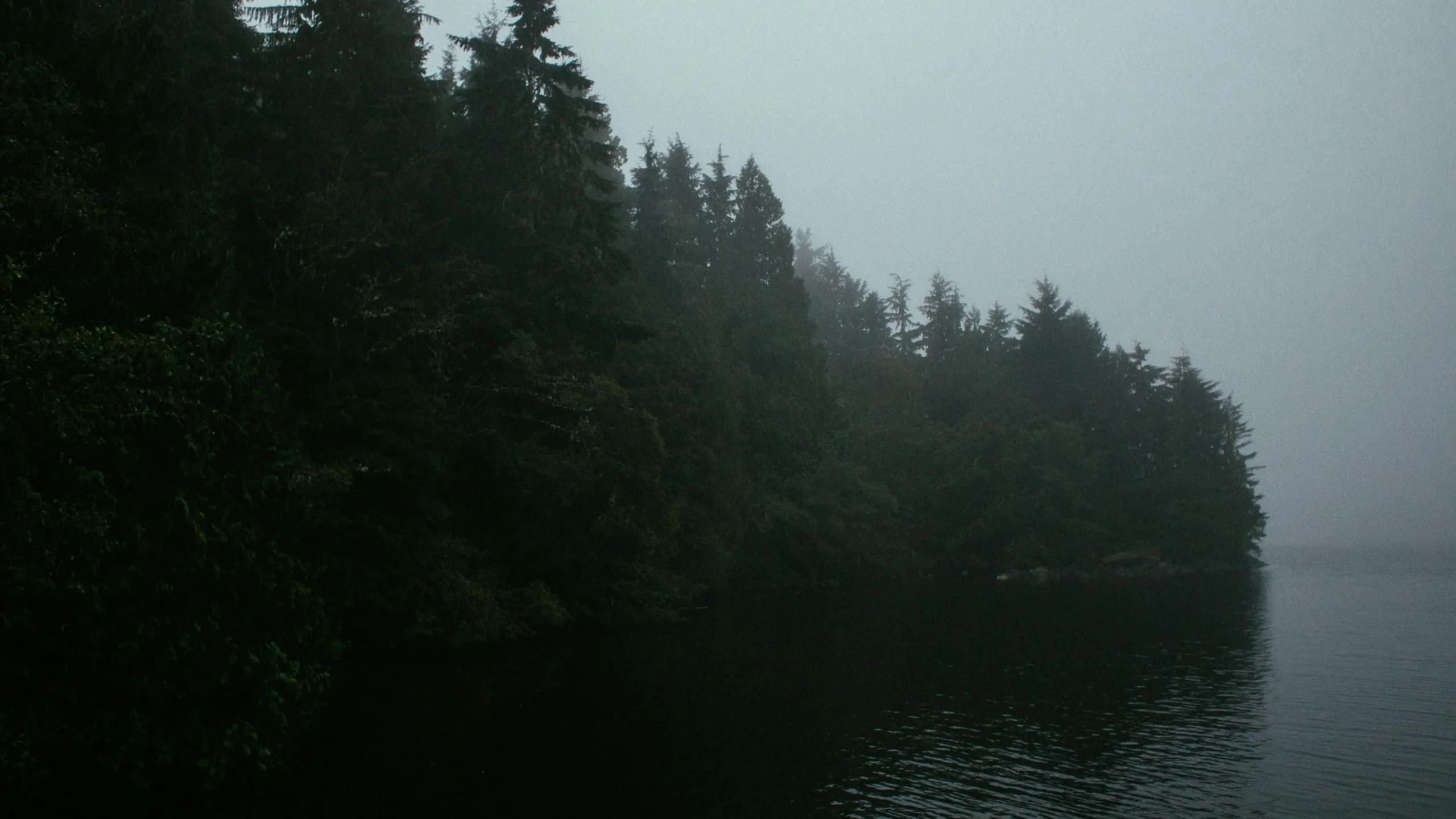 Mixed forest reflecting on calm lake under gray sky, emphasizing tranquility for how to improve memory.