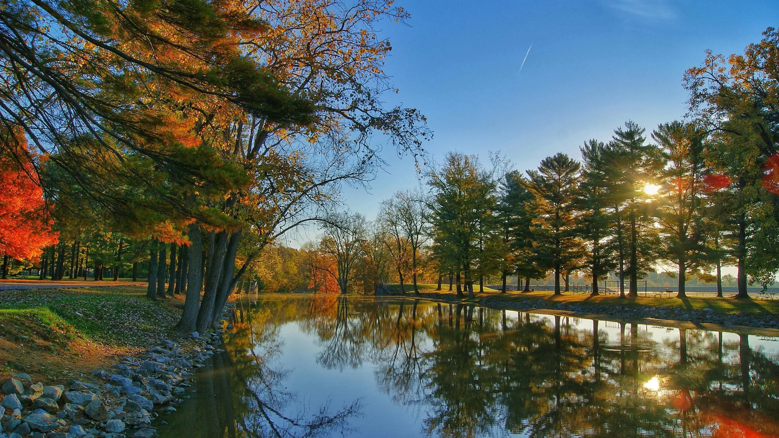 Trees in a serene landscape reflecting improved memory power through nature therapy.