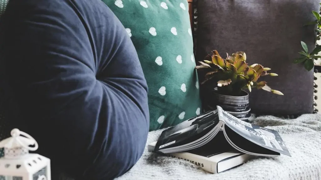 Throw pillows beside books for procrastinators